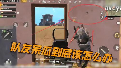 吃鸡司马呆瓜视频,笑料百出！吃鸡司马呆瓜搞笑瞬间大盘点