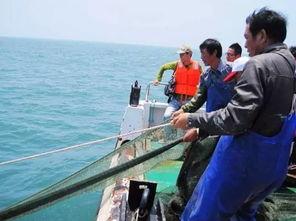 中国渔民吃瓜拍照视频,欢乐拍照共享丰收喜悦