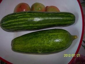 江西吃瓜视频,揭秘江西本土美食文化